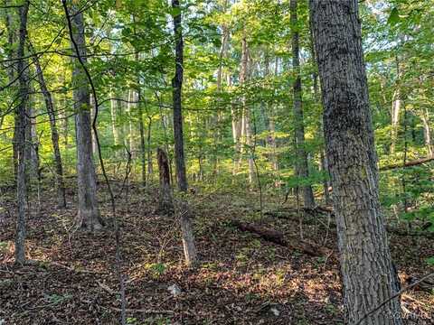 Old Church Road, Mechanicsville, VA 23111