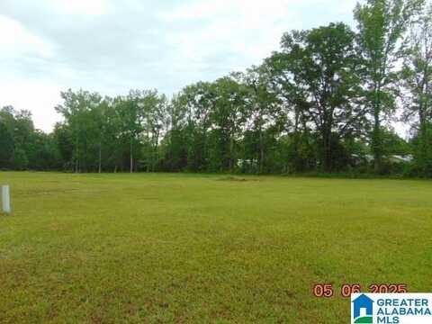 Lot 2 COUNTY ROAD 7, CLANTON, AL 35045