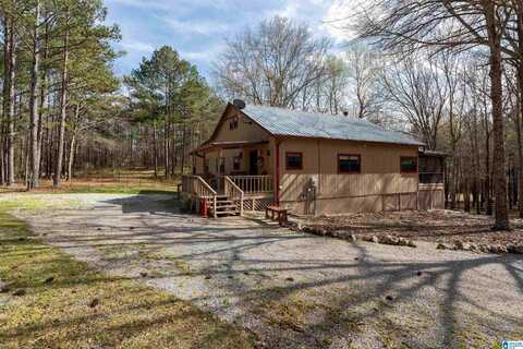 2300 LOGAN MARTIN DAM ROAD, VINCENT, AL 35178