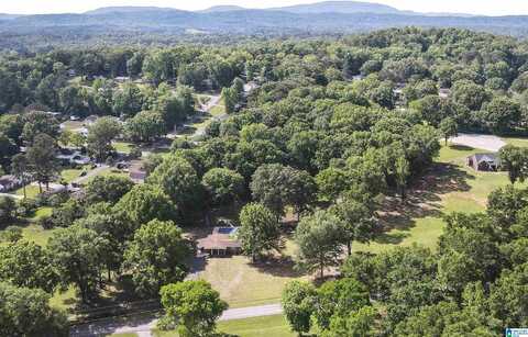 800 COUNTY LINE ROAD, OXFORD, AL 36203
