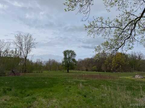 11401 E Yates Center Road, Wyatts, NY 14098