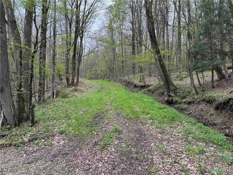 Kansas Hollow Road, Bolivar, NY 14715
