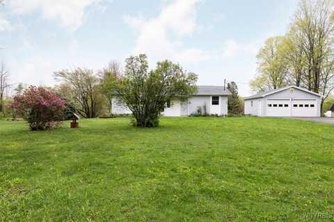8654 Knapp Road, Colden, NY 14170