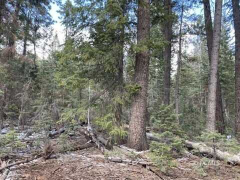 10 Roberts St, Duck Creek Village, UT 84762