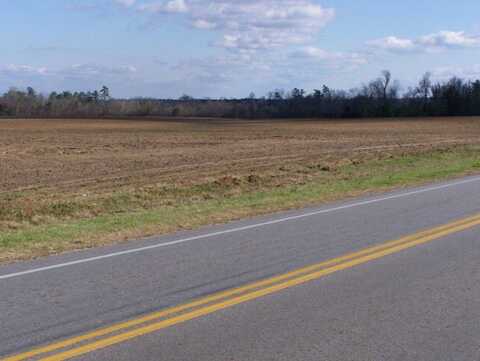 00 Cleveland Street, Elloree, SC 29047