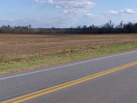 00 Cleveland St, Elloree, SC 29047