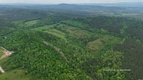Tract 2-TBD Ryan Road, Oden, AR 71961