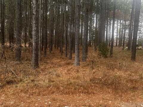 49 Victoria Lane, Hot Springs Village, AR 71909
