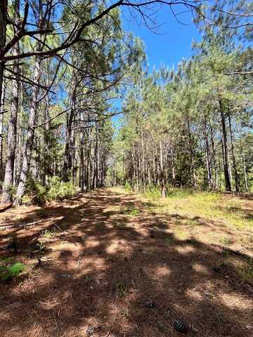 989 ALPHA, Midland City, AL 36350