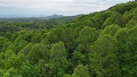 115 Calvender Road, Turtletown, TN 37391