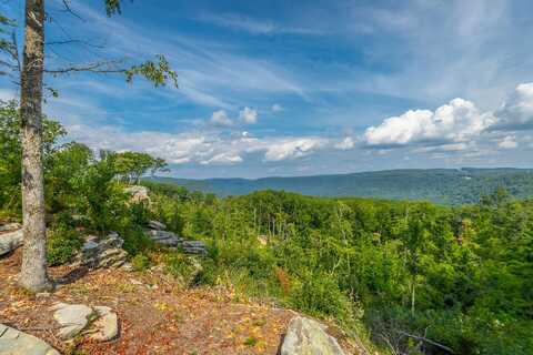 0 Catfish View, Guild, TN 37340