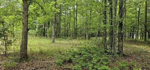 0 2 Lake Trl, Dunlap, TN 37327