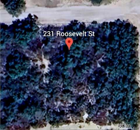 231 Roosevelt St., El Indio, TX 78860