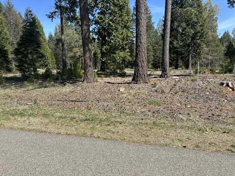 Lot 9 Princess Pine Place, Shingletown, CA 96088