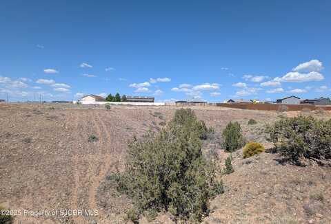 X ROAD 3900, Farmington, NM 87401