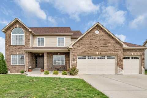 1065 Farmstone Drive, Diamond, IL 60416
