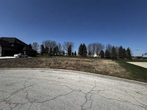 11730 Sandstone Court, Frankfort, IL 60423