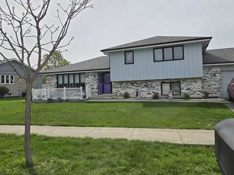 8919 Meadowview Drive, Orland Hills, IL 60487