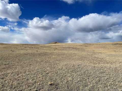 305 Badger Lane, Hartsel, CO 80449