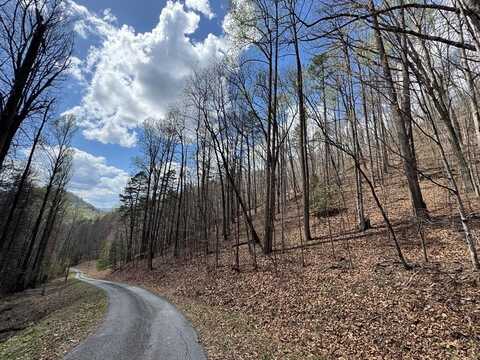 Forest Hills rd, Bryson City, NC 28713