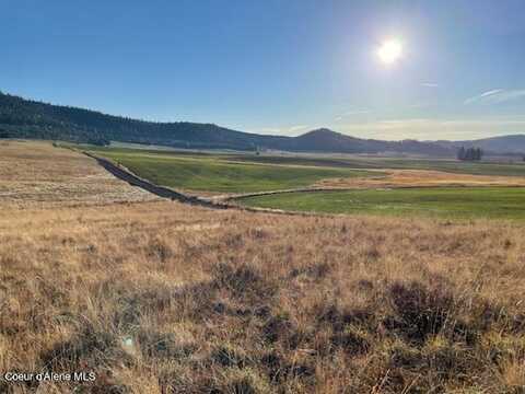 387 Starling Ln, Plummer, ID 83851