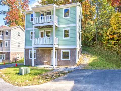 12 Lila Lane, OTHER, NC 28748