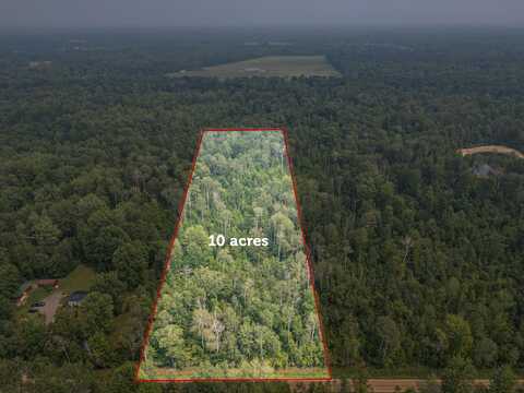 10 Acres Easton, Gladwin, MI 48624