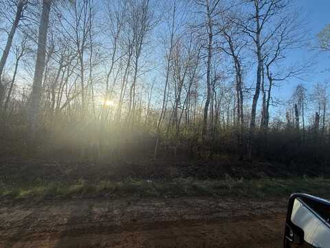 10 Acres Easton, Gladwin, MI 48624