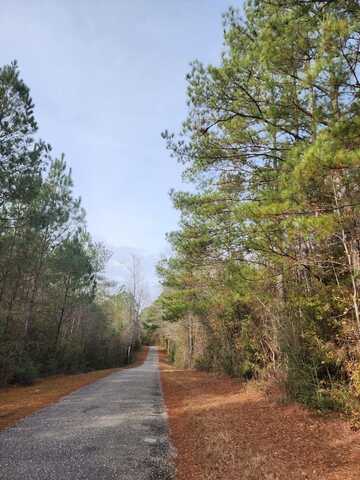 80 Hugh Miller Road, Sumrall, MS 39482