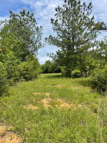 00 Reeves Rd, Ruth, MS 39662