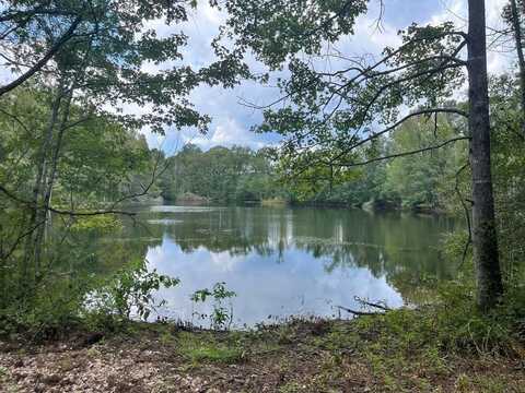 TBD Adron Boyd Road, Tylertown, MS 39667
