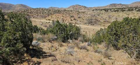 0 98th Street E, Juniper Hills, CA 93543