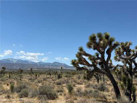 0 Ave Y8 & 233rd St E Avenue, Llano, CA 93544