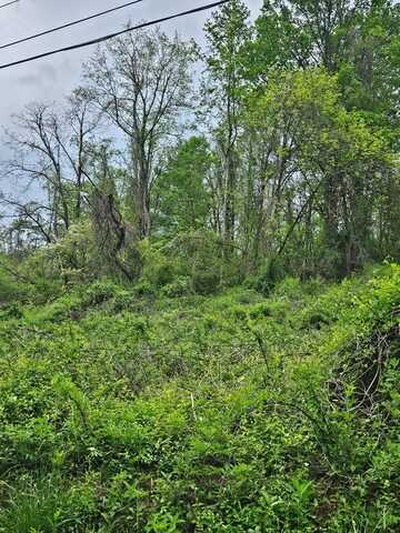00 Euclid Ave, Marion, VA 24354