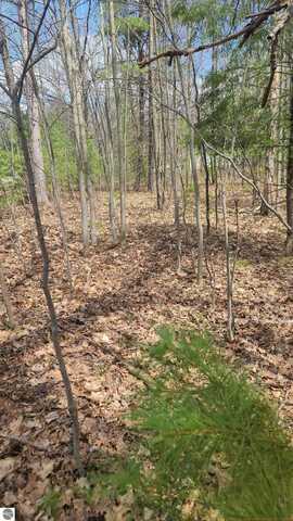 0001 Laura Lane, Kalkaska, MI 49646