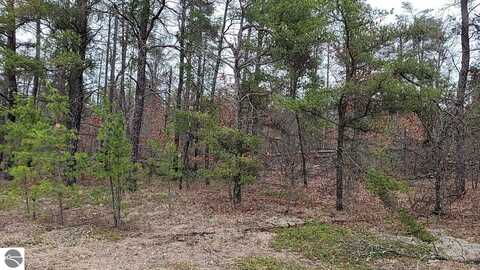 20 Acres Sandy Trail, Grayling, MI 49738