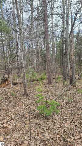 0000 Laura Lane, Kalkaska, MI 49646
