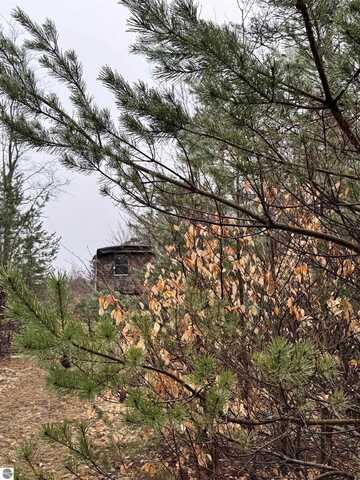 County Line Road, Mancelona, MI 49659