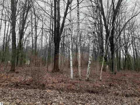 0 Woodlawn Drive, Oscoda, MI 48750