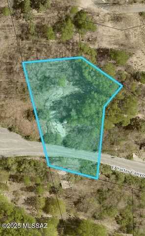 10991 E Carter Canyon, Mt. Lemmon, AZ 85619