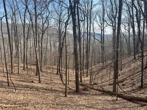 1400 Valley View Drive, Jasper, GA 30143