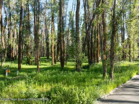 4725 RIVER HOLLOW DRIVE, Wilson, WY 83014