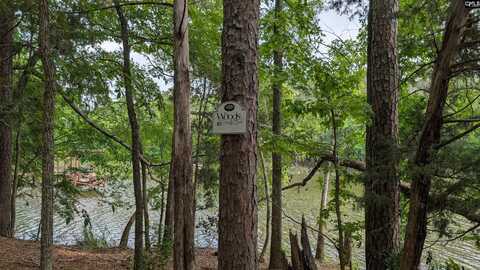 Lot 83 Retreat Way, Ridgeway, SC 29130