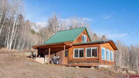 1901 Armitage Springs Road, Powderhorn, CO 81243
