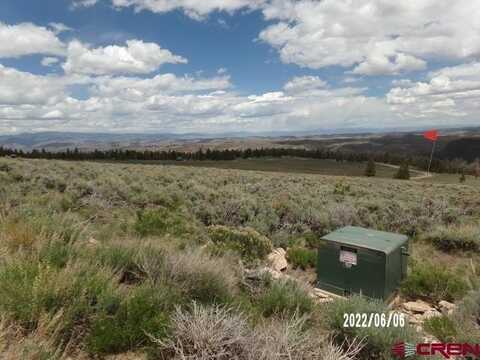 980 Cinnamon Trail, Powderhorn, CO 81243