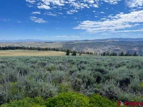 924 Cinnamon Trail, Powderhorn, CO 81243