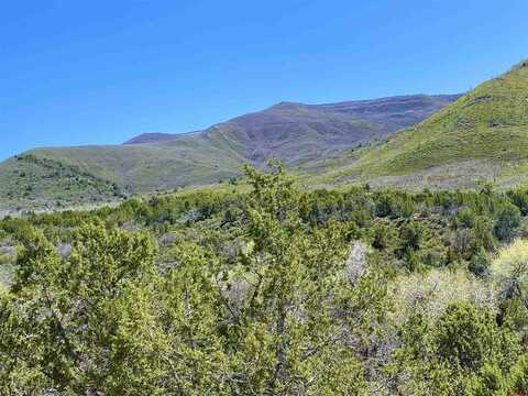 TBD County Road 306, Parachute, CO 81635