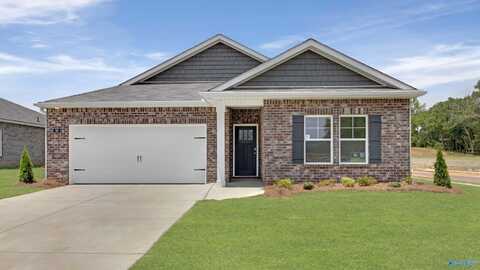 10 Moon Drive, Scottsboro, AL 35769