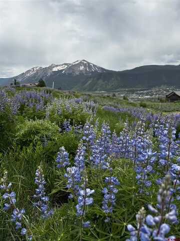 57 Summit Road, Mount Crested Butte, CO 81225
