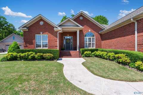 191 River Walk Trail, New Market, AL 35761